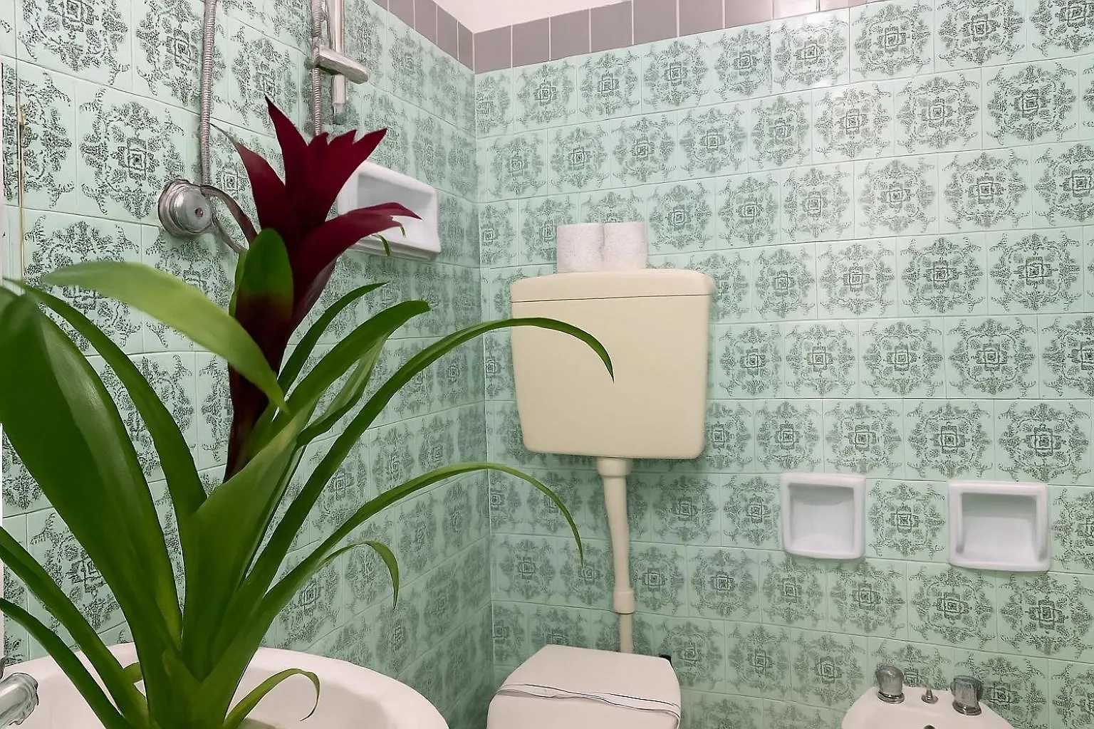 Hotel Baden Baden Rimini